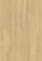 l0363-06794.webp