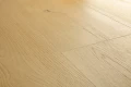 L0363-06795-2.webp