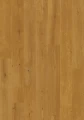 L0363-06797.webp