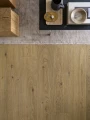 L0363-06801-2.webp