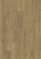 L0263-06801.webp