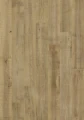 L0363-06802.webp