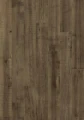L0363-06803.webp