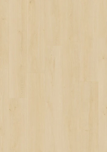 L0374-08304.webp