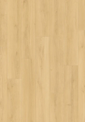 L0274-08305.webp